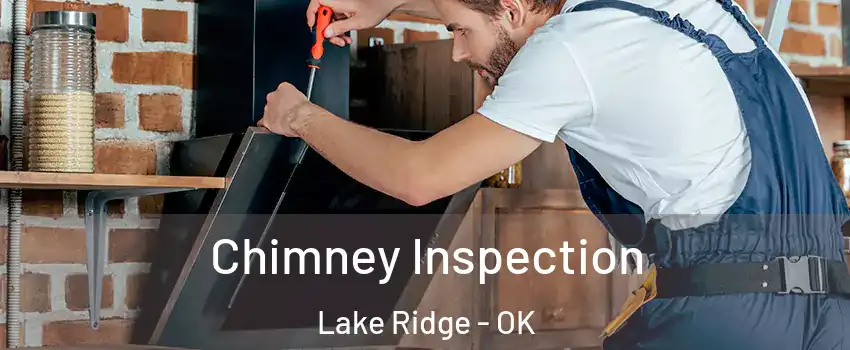 Chimney Inspection Lake Ridge - OK