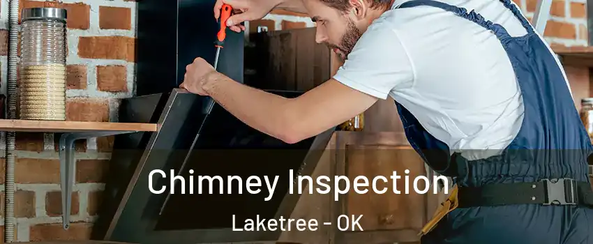 Chimney Inspection Laketree - OK