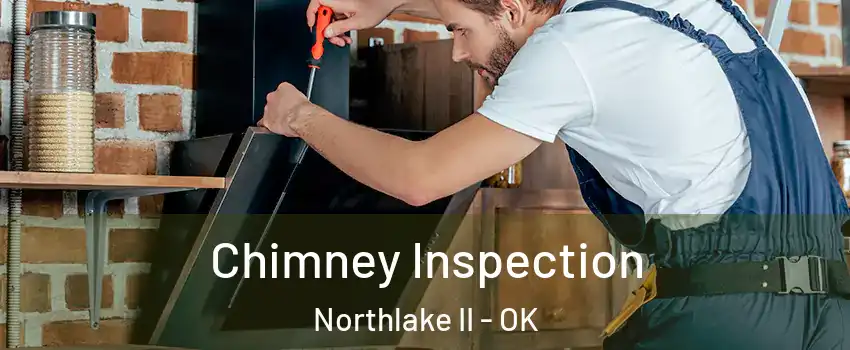 Chimney Inspection Northlake II - OK