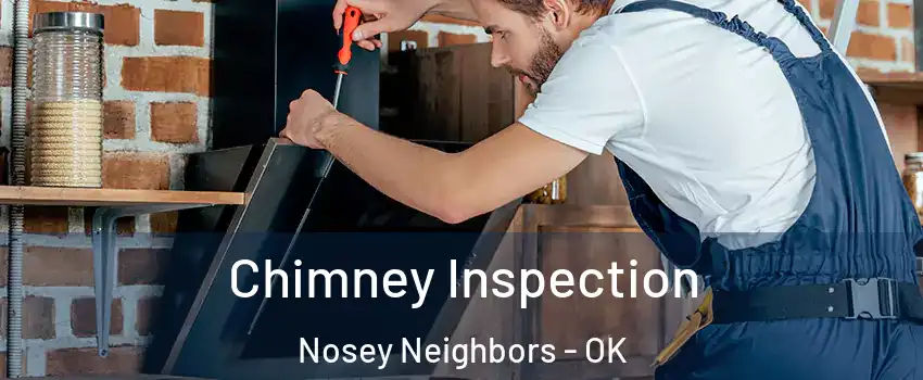Chimney Inspection Nosey Neighbors - OK