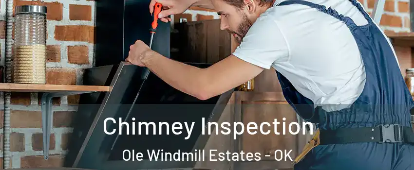 Chimney Inspection Ole Windmill Estates - OK