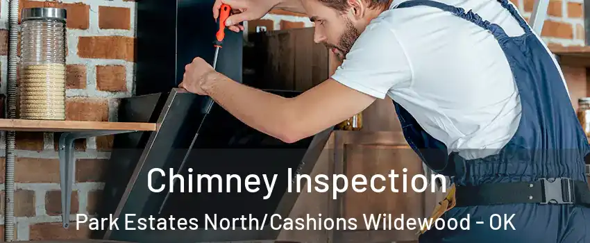 Chimney Inspection Park Estates North/Cashions Wildewood - OK