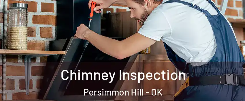 Chimney Inspection Persimmon Hill - OK