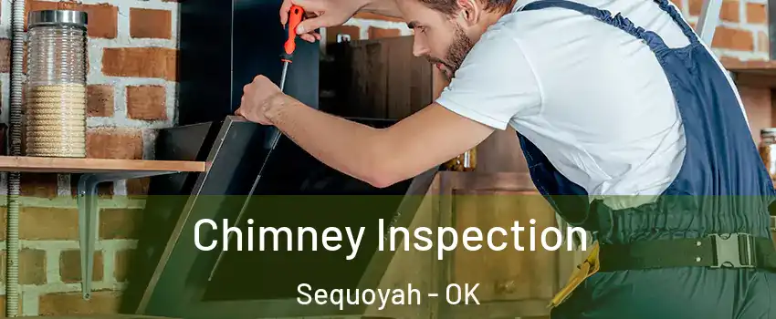 Chimney Inspection Sequoyah - OK