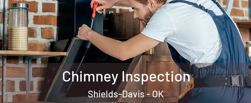 Chimney Inspection Shields-Davis - OK