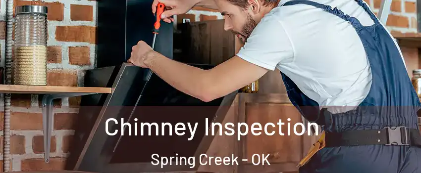 Chimney Inspection Spring Creek - OK