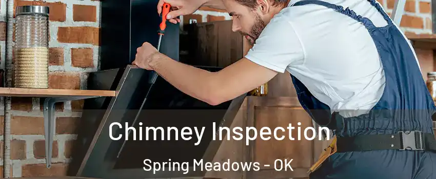Chimney Inspection Spring Meadows - OK