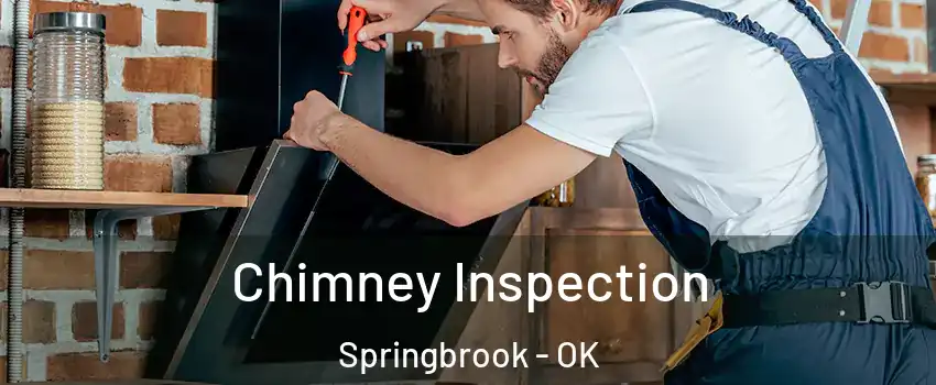 Chimney Inspection Springbrook - OK