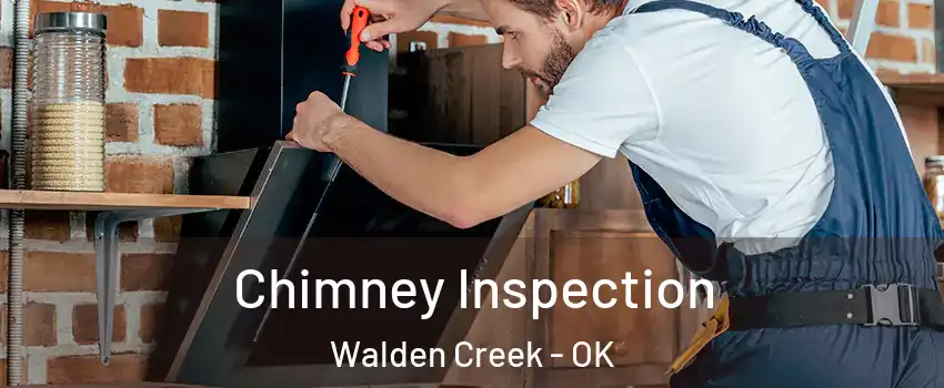 Chimney Inspection Walden Creek - OK
