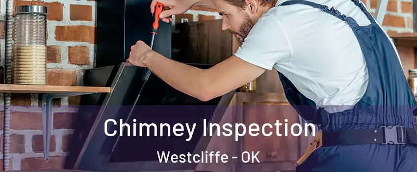 Chimney Inspection Westcliffe - OK