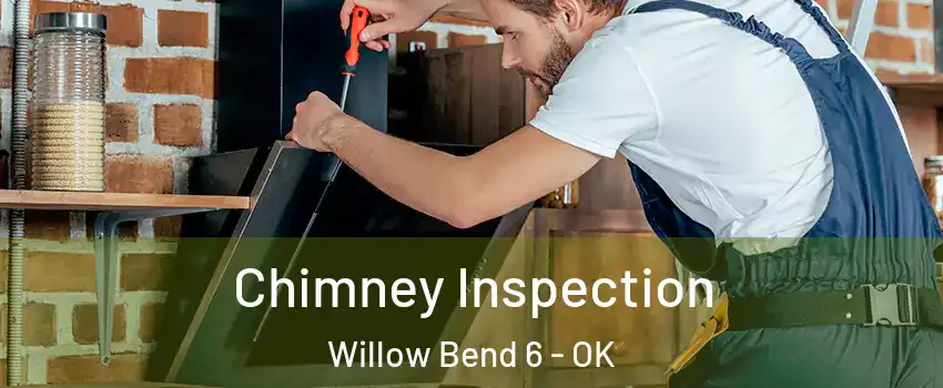 Chimney Inspection Willow Bend 6 - OK