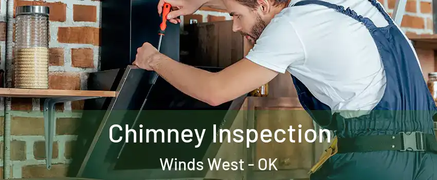 Chimney Inspection Winds West - OK