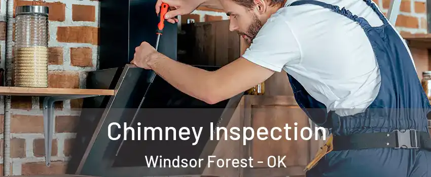 Chimney Inspection Windsor Forest - OK