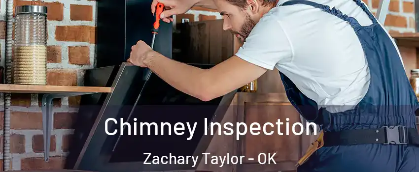 Chimney Inspection Zachary Taylor - OK