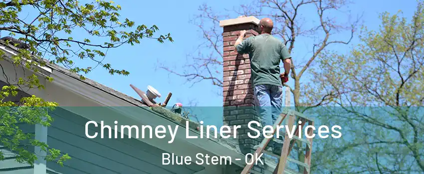 Chimney Liner Services Blue Stem - OK