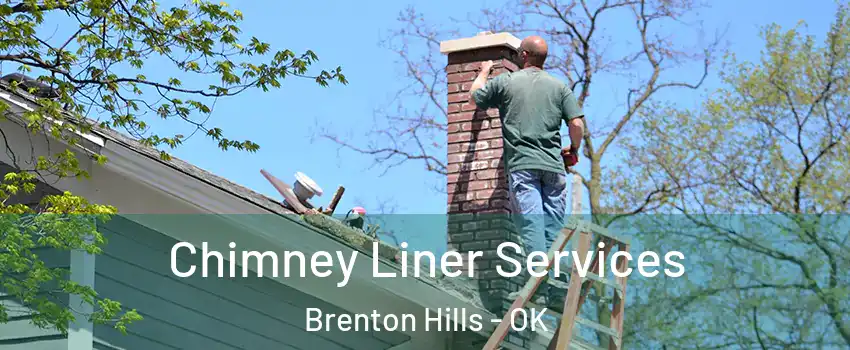 Chimney Liner Services Brenton Hills - OK