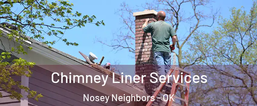 Chimney Liner Services Nosey Neighbors - OK
