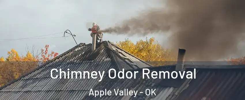 Chimney Odor Removal Apple Valley - OK