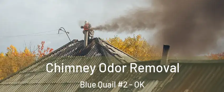 Chimney Odor Removal Blue Quail #2 - OK