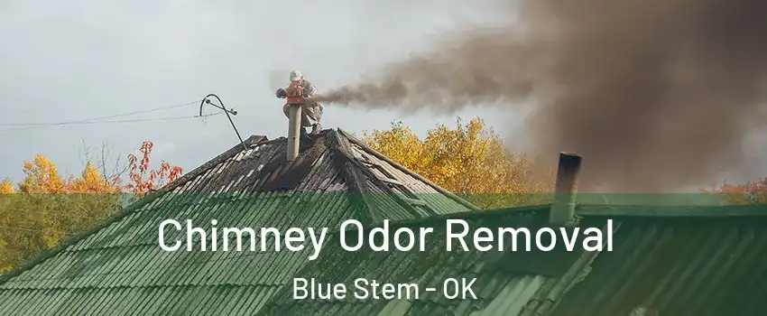 Chimney Odor Removal Blue Stem - OK