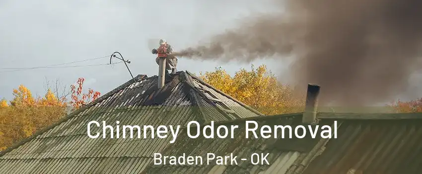 Chimney Odor Removal Braden Park - OK