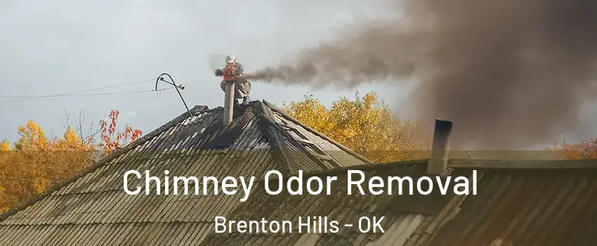 Chimney Odor Removal Brenton Hills - OK