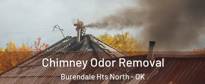 Chimney Odor Removal Burendale Hts North - OK