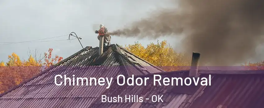 Chimney Odor Removal Bush Hills - OK