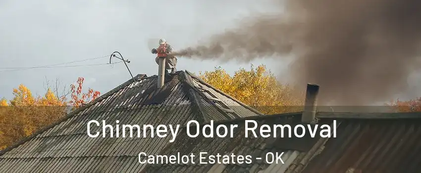 Chimney Odor Removal Camelot Estates - OK