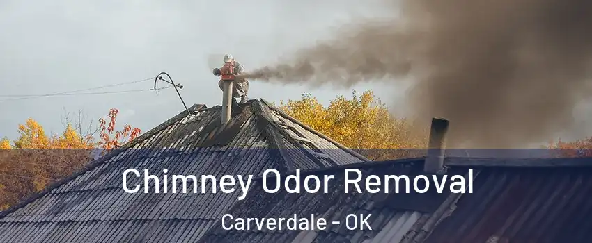 Chimney Odor Removal Carverdale - OK