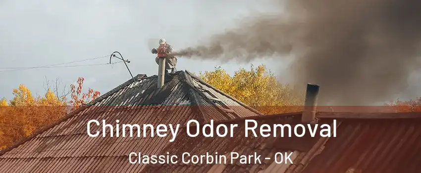 Chimney Odor Removal Classic Corbin Park - OK