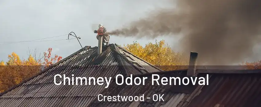 Chimney Odor Removal Crestwood - OK