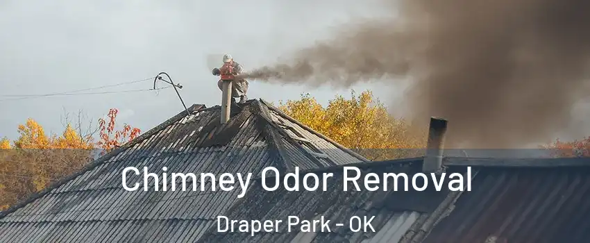 Chimney Odor Removal Draper Park - OK