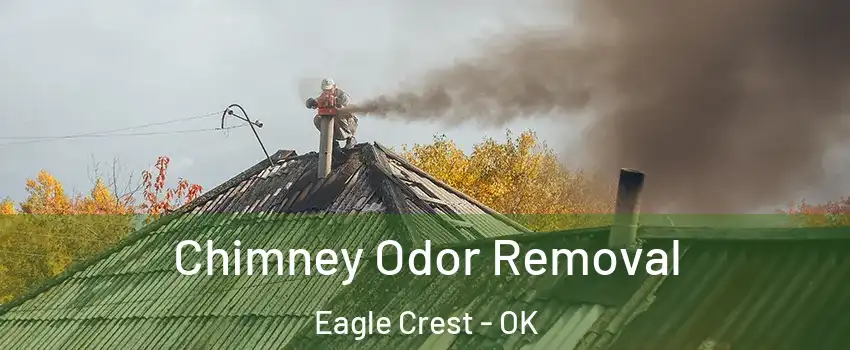 Chimney Odor Removal Eagle Crest - OK