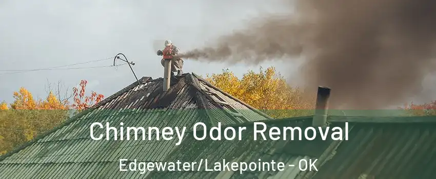 Chimney Odor Removal Edgewater/Lakepointe - OK