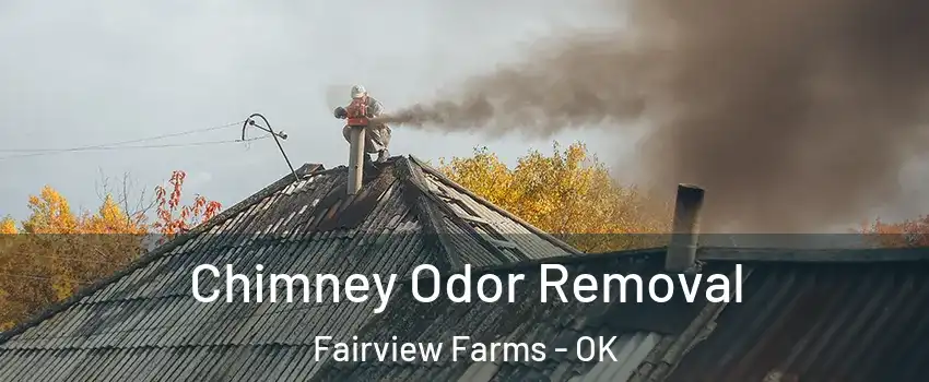 Chimney Odor Removal Fairview Farms - OK