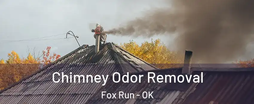 Chimney Odor Removal Fox Run - OK