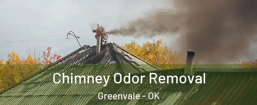 Chimney Odor Removal Greenvale - OK
