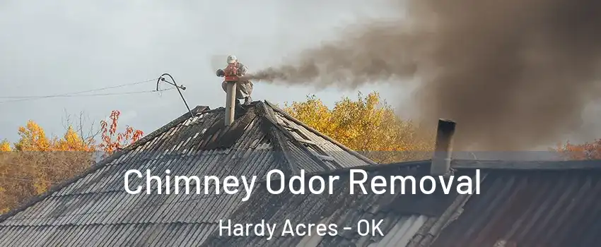 Chimney Odor Removal Hardy Acres - OK