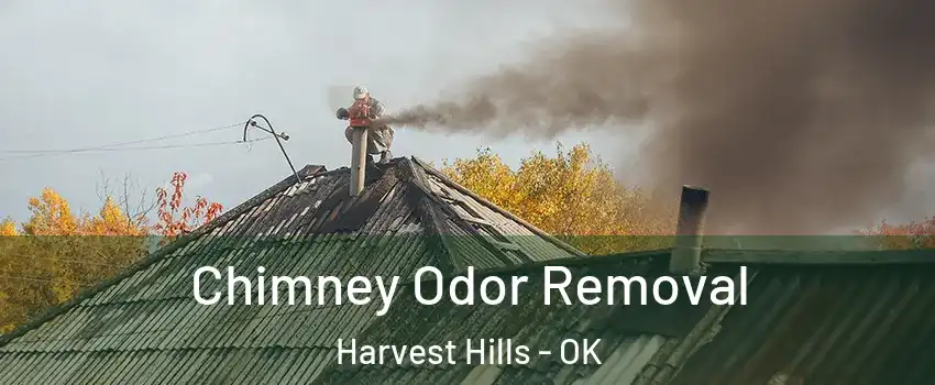 Chimney Odor Removal Harvest Hills - OK
