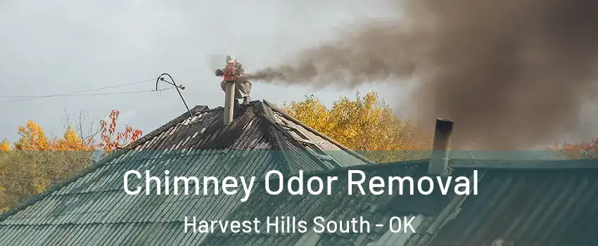 Chimney Odor Removal Harvest Hills South - OK