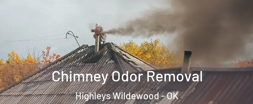 Chimney Odor Removal Highleys Wildewood - OK