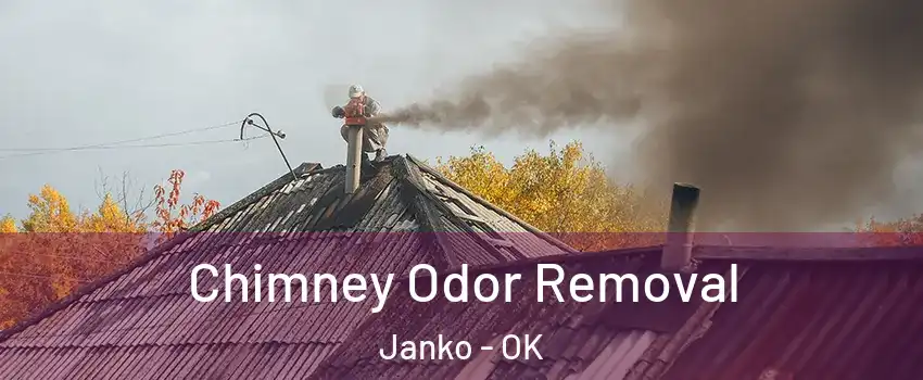 Chimney Odor Removal Janko - OK