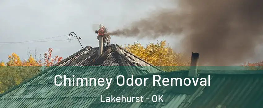 Chimney Odor Removal Lakehurst - OK