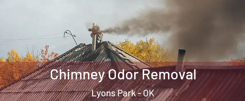 Chimney Odor Removal Lyons Park - OK