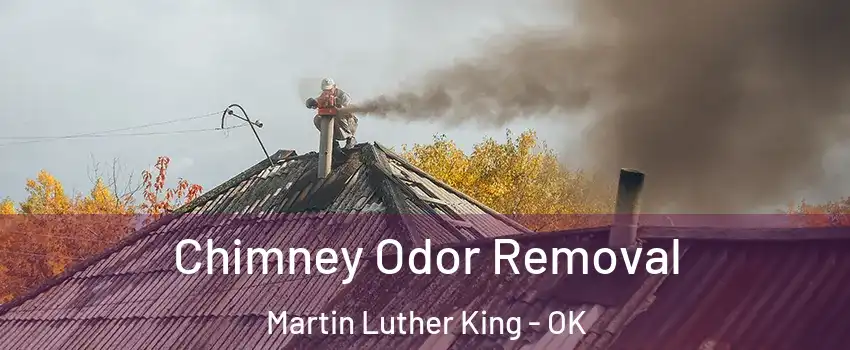 Chimney Odor Removal Martin Luther King - OK