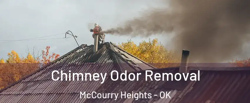Chimney Odor Removal McCourry Heights - OK