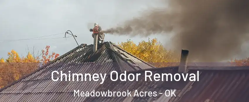 Chimney Odor Removal Meadowbrook Acres - OK