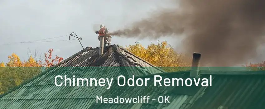 Chimney Odor Removal Meadowcliff - OK
