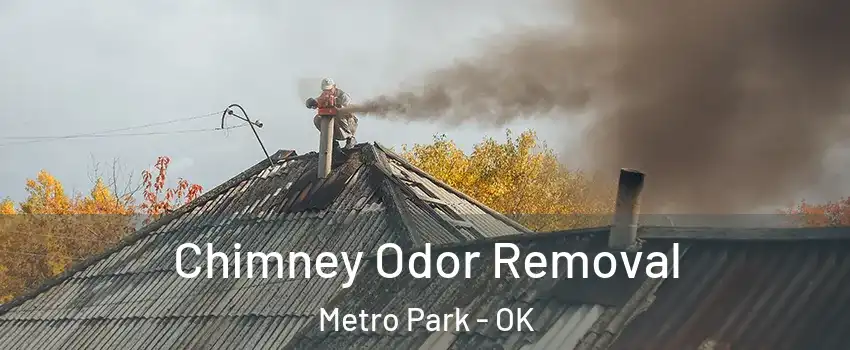 Chimney Odor Removal Metro Park - OK